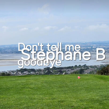 Don't tell me goodbye | Boomplay Music