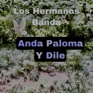 Los Hermanos Banda