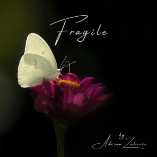 Fragile