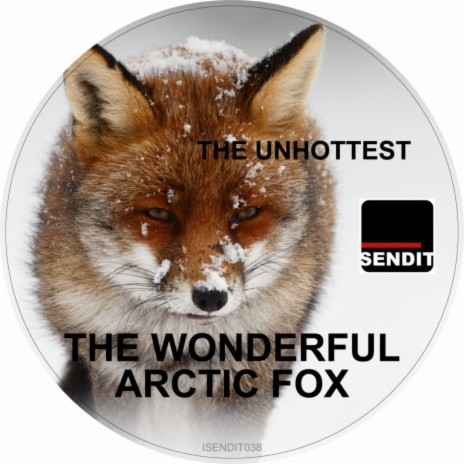 The Wonderful Arctic Fox | Boomplay Music