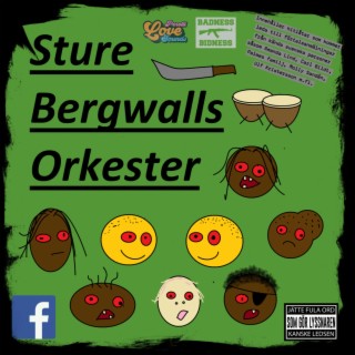 Sture Bergwalls Orkester