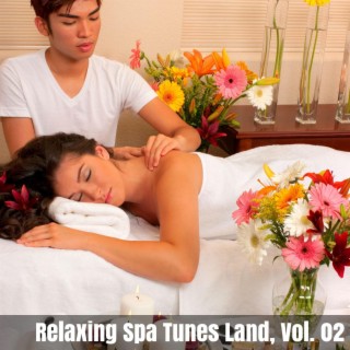 Relaxing Spa Tunes Land, Vol. 02