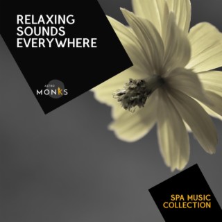 Relaxing Sounds Everywhere - Spa Music Collection