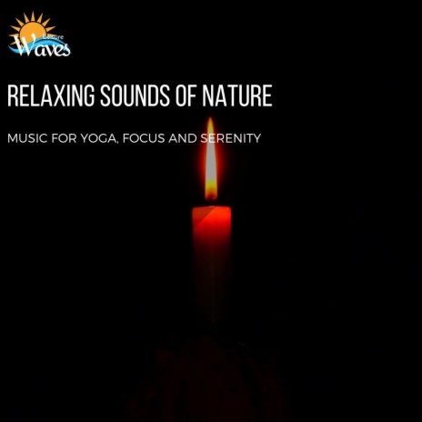 Being Holistic | Boomplay Music