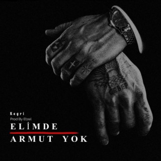 Elimde Armut Yok ft. Prod.Etzel lyrics | Boomplay Music