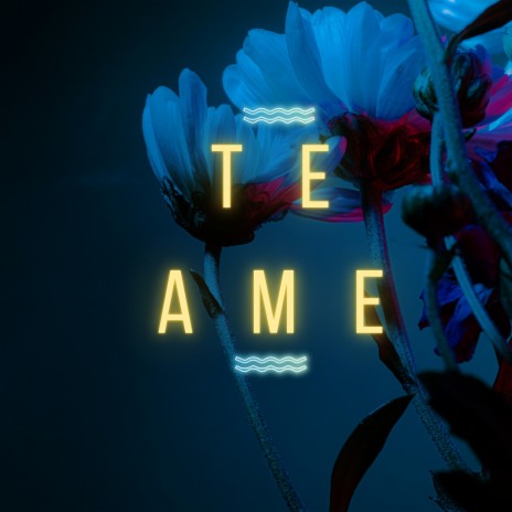 Te Amé | Boomplay Music