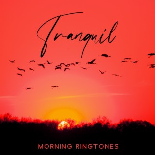 Tranquil Morning Ringtones