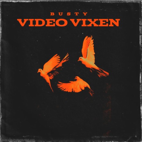 VIDEO VIXEN | Boomplay Music