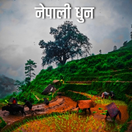 NEPALI DHUN | Boomplay Music