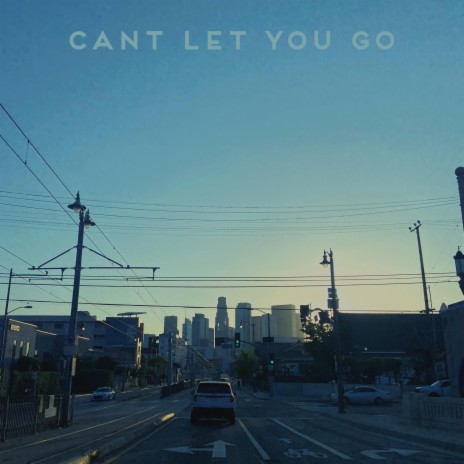 Cant Let You Go