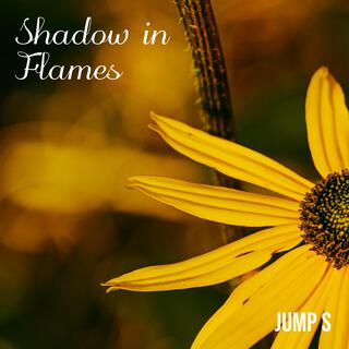 Shadow in Flames