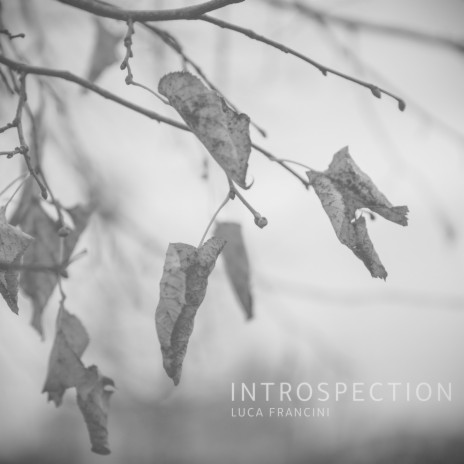 Introspection | Boomplay Music