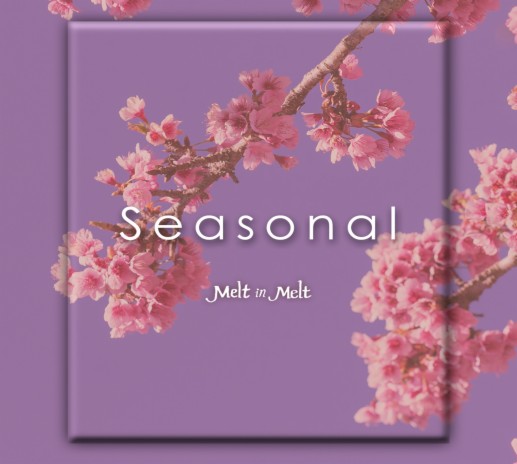 Seasonal | Boomplay Music