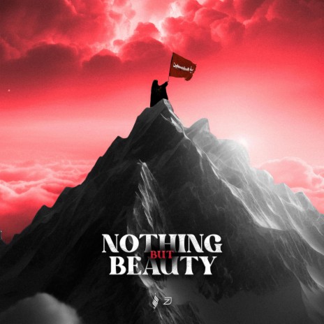 Nothing but Beauty ft. Janmohamed Brothers | Boomplay Music