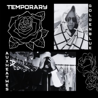 Temporary ft. Aux Heat Wes lyrics | Boomplay Music