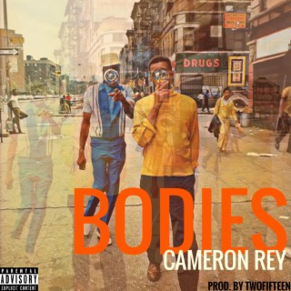 Bodies