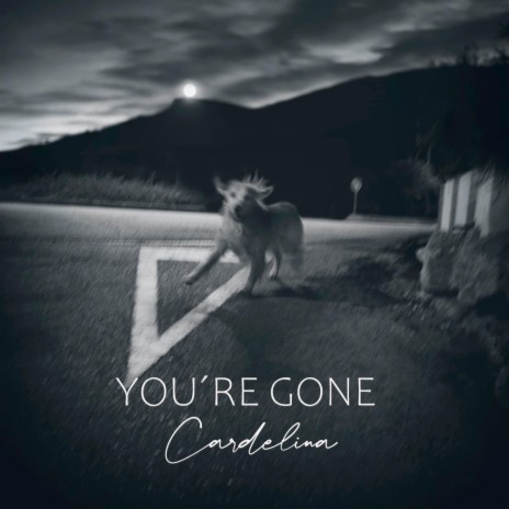 You´re Gone