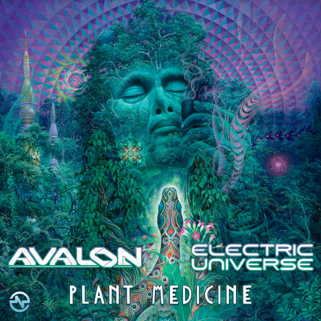 Plant Medicine ft. Electric Universe | Boomplay Music