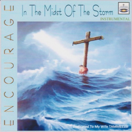 In The Midst Of The Storm | Boomplay Music