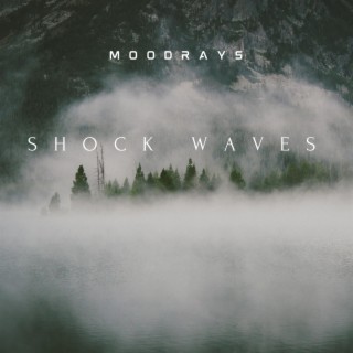 Shock Waves