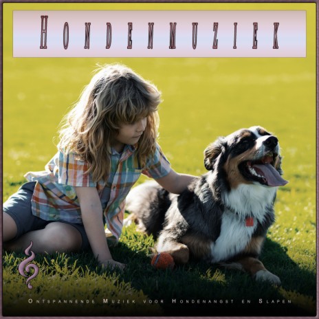 Rustgevende Slaapmuziek voor Honden ft. Slaapmuziek voor Honden & Honden Muziek Universum | Boomplay Music