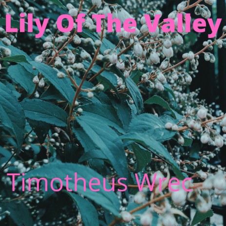 The Lily of the Valley | Boomplay Music