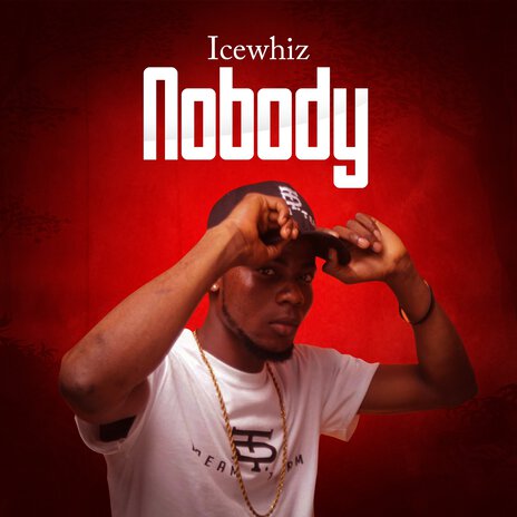 Nobody | Boomplay Music