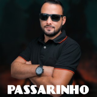 Passarinho