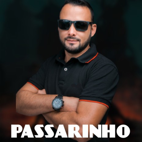 Passarinho ft. Nt do Mandelão | Boomplay Music