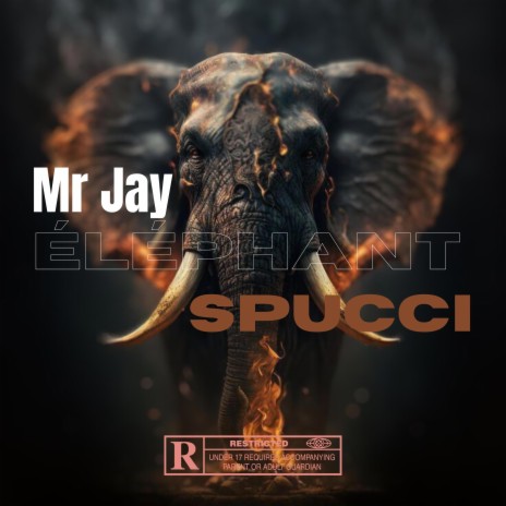 Éléphant ft. MR_JAY | Boomplay Music