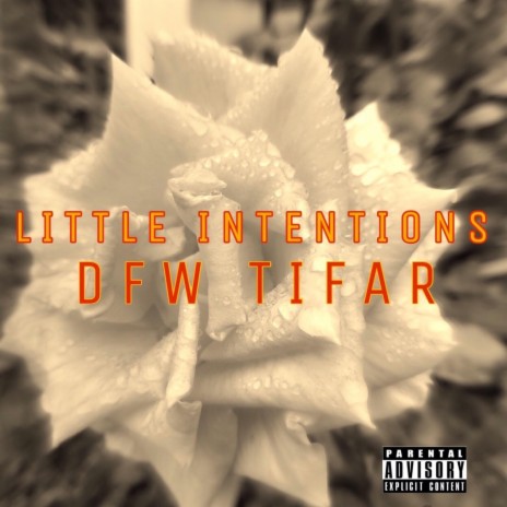 LITTLE INTENTIONS | Boomplay Music