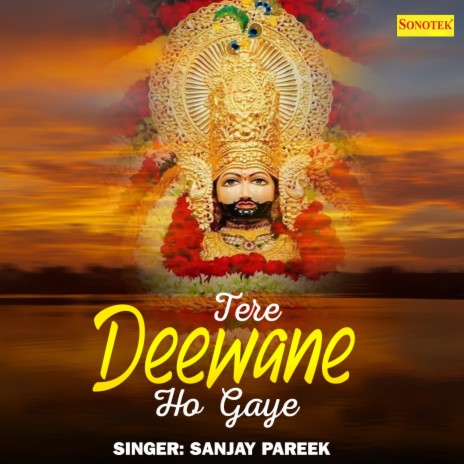 Tere Deewane Ho Gaye | Boomplay Music