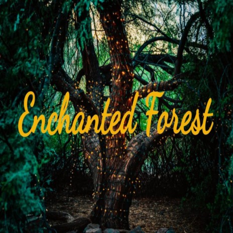 Enchanted Forest