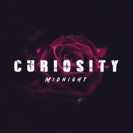 Curiosity-midnight