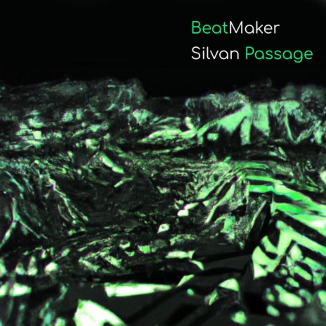 Silvan Passage | Boomplay Music