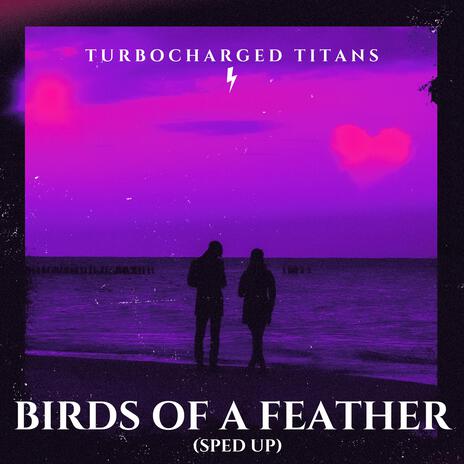 Birds of a Feather (Sped Up) | Boomplay Music