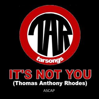 It's Not You lyrics | Boomplay Music