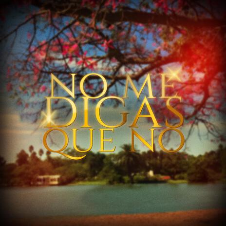 No me digas que no | Boomplay Music