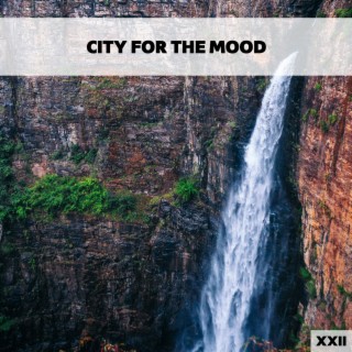 City For The Mood XXII