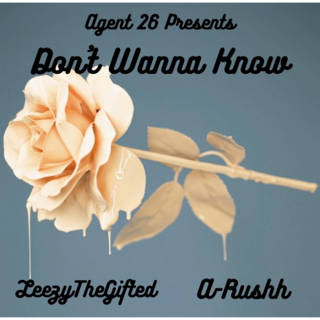 Don't Wanna Know ft. Leezythegifted & A-Rushh