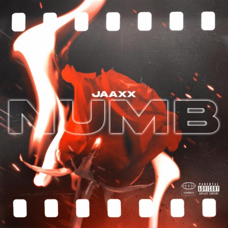 NUMB | Boomplay Music