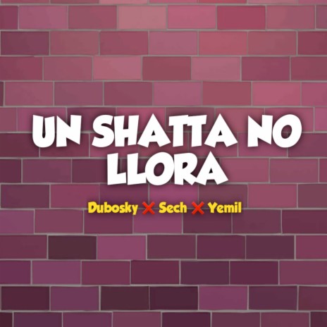 Un Shatta No Llora ft. Yemil & Sech
