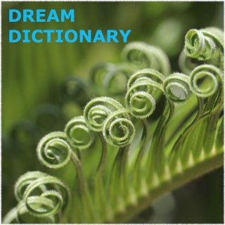 Dream Dictionary