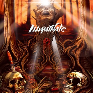 Illuminate lyrics | Boomplay Music