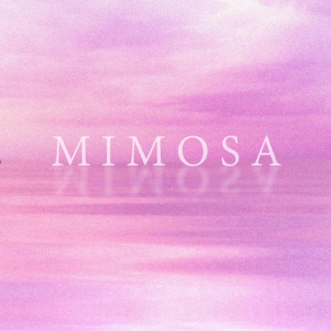 Mimosa