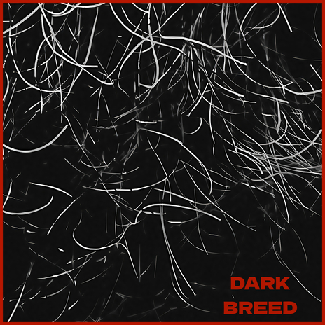 Dark Breed | Boomplay Music