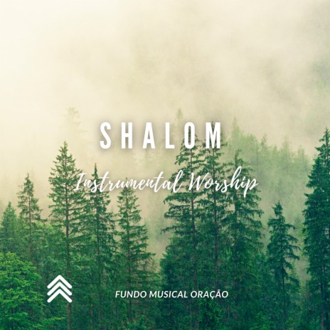 Shalom Instrumental Worship | Boomplay Music