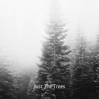 Just The Trees