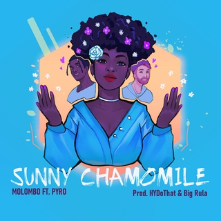 Sunny Chamomile ft. Pyro lyrics | Boomplay Music