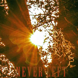 Never Left ft. Eddie Valiant lyrics | Boomplay Music